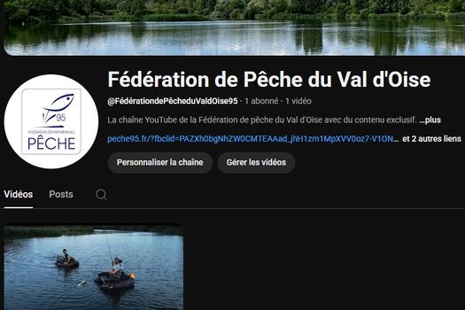 VIDEO YOU TUBE
