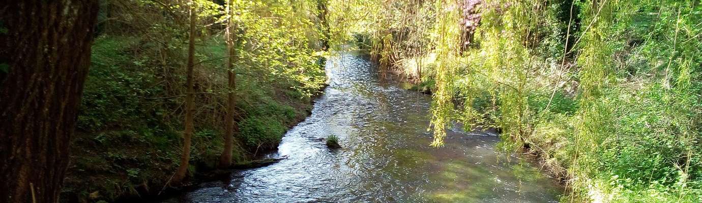 peche truite val d'oise